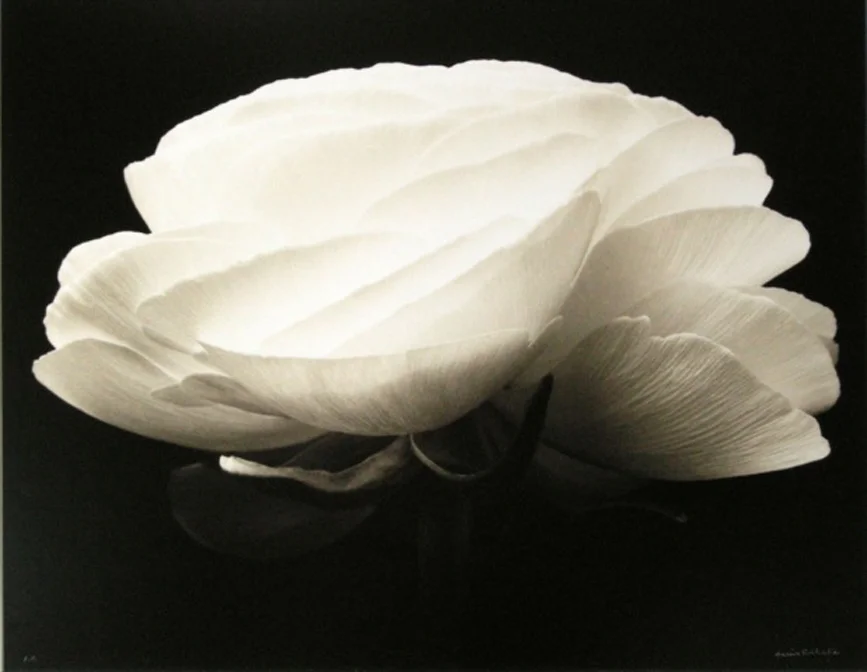 Brihat_Gardenia_lowres2