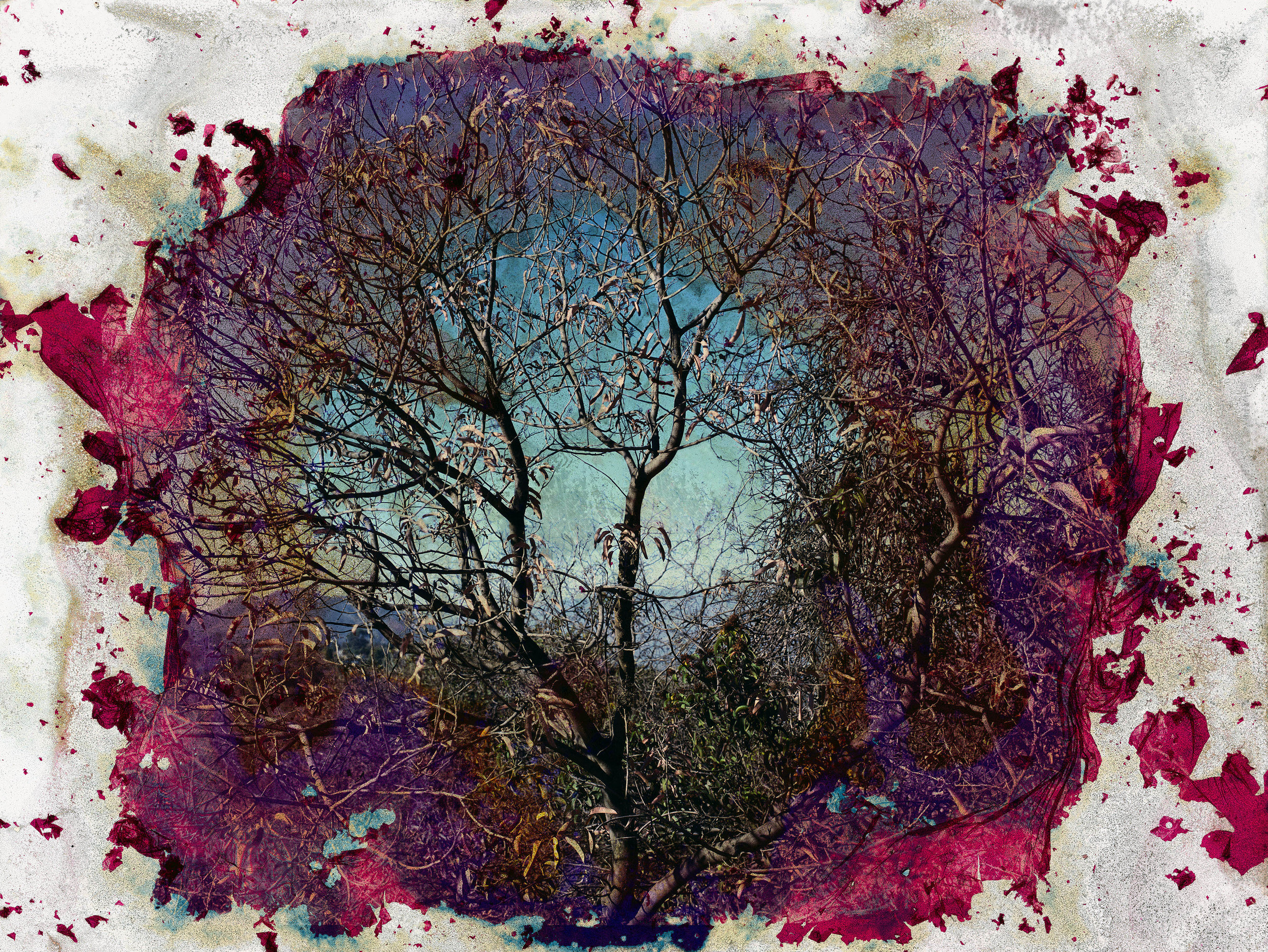 Doug_Fogelson_Return_to_Oblivion_No_8_30x40_inches copy