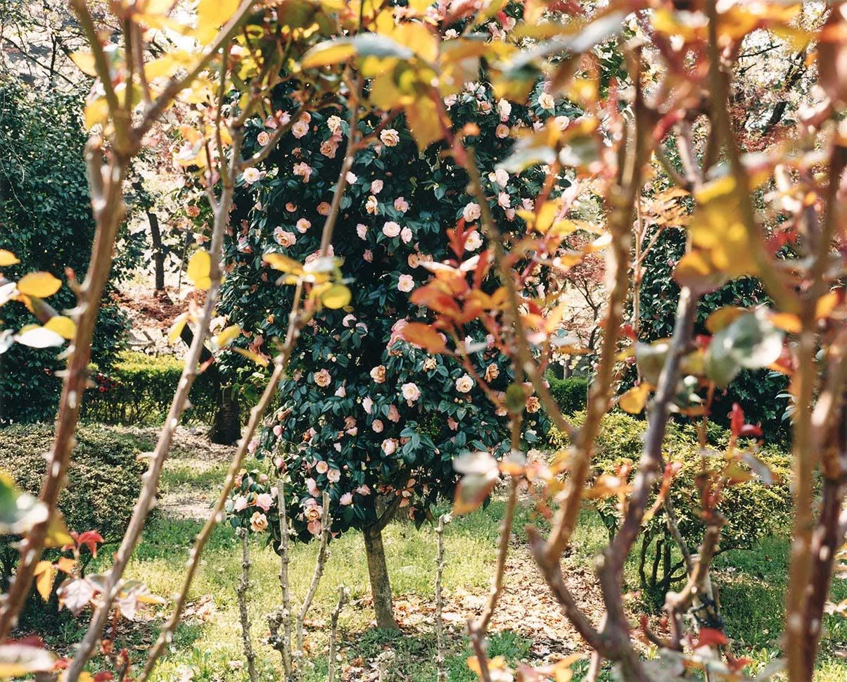 Yoko Ikeda_Nagano City, 2008