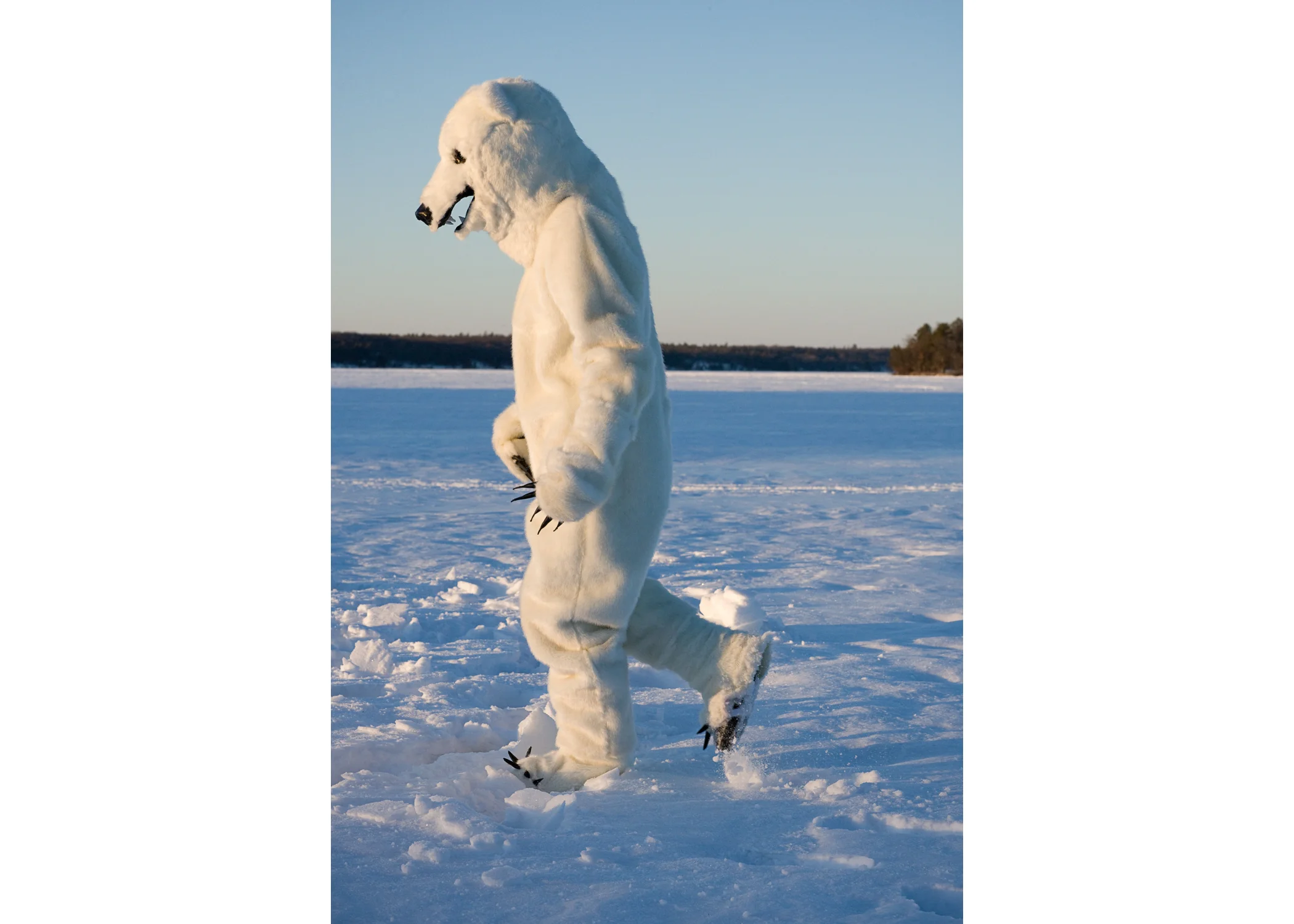 polar