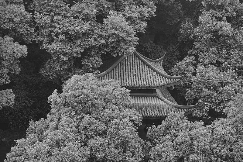 T_S-PHO-1504