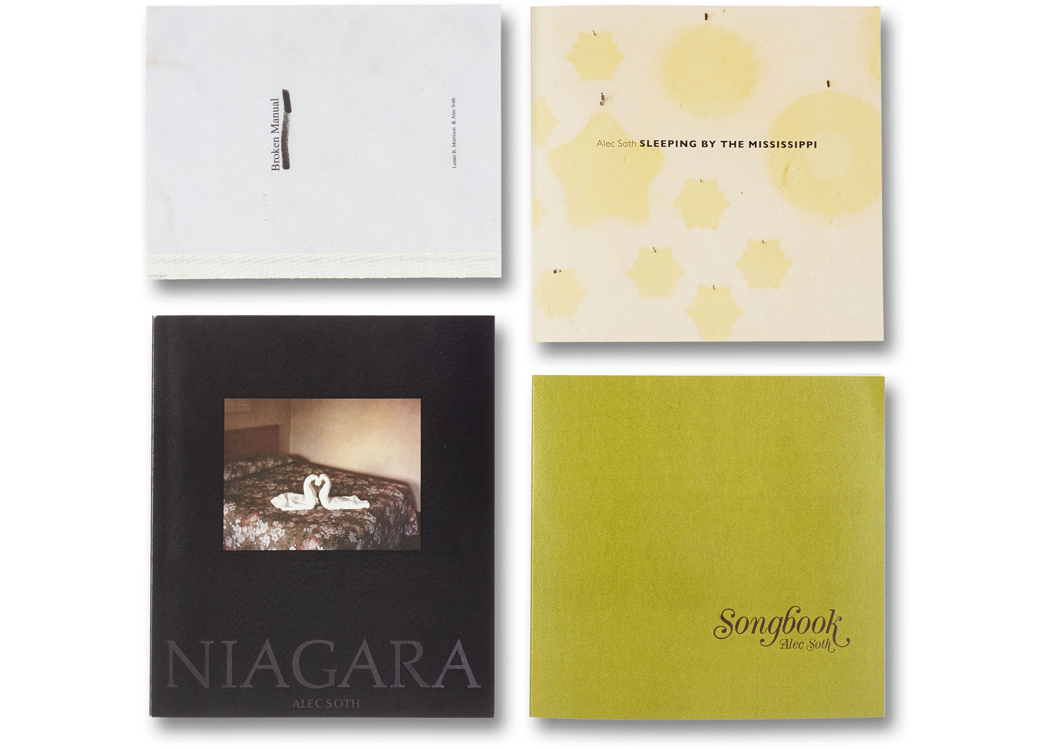 Alec Soth_Gathered Leaves 9