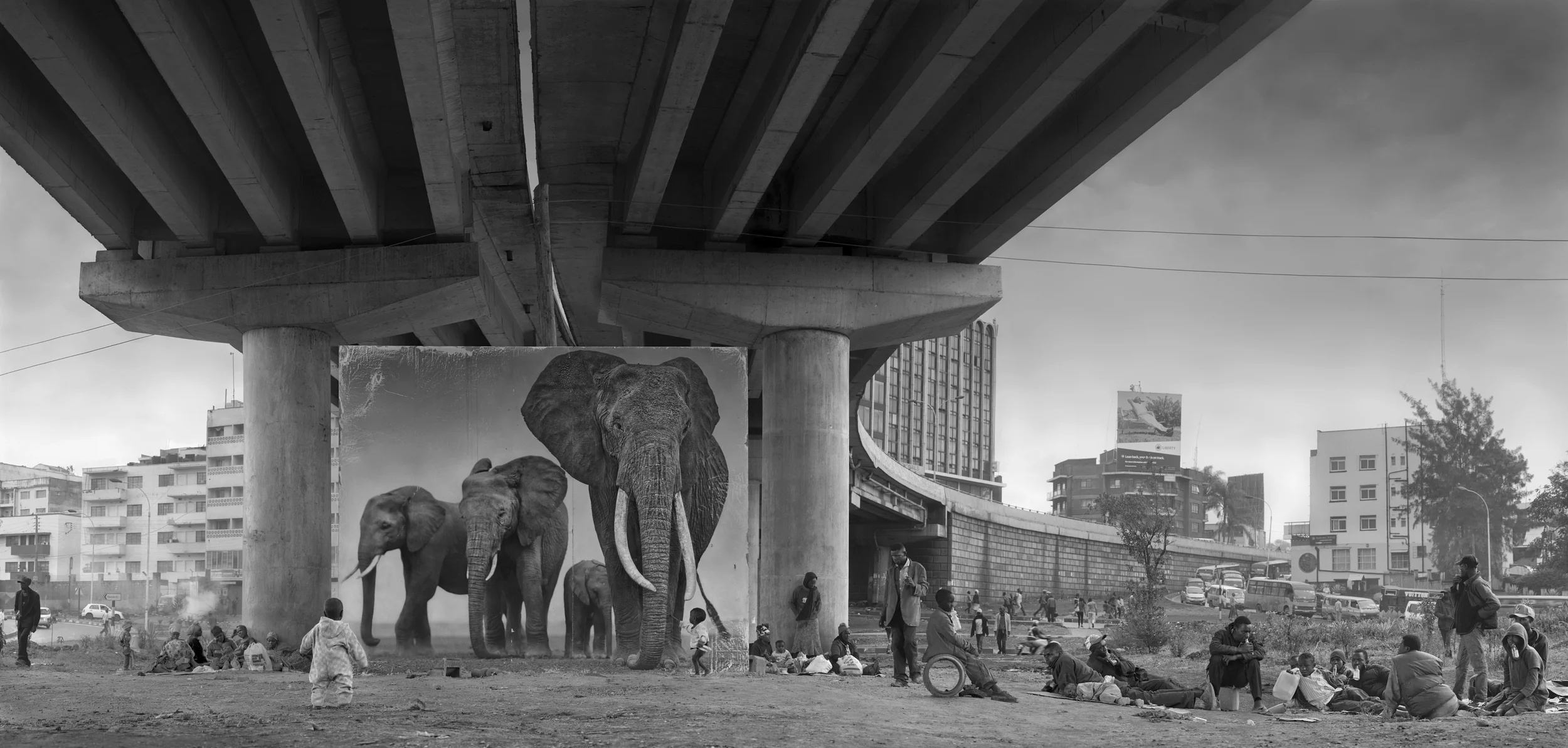 UNDERPASS-WITH-ELEPHANTS-3800px