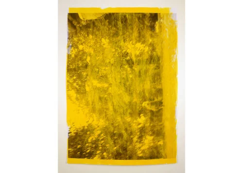 Image above: ©DAVID THOMAS, Impermanences, Dogs of London (Golden Yellow), 2015, Acrylic and photocopy on paper