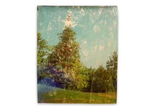 Image above: John ChiaraCraig House. Tioronda. Walcott, 2015, Ilfochrome Paper, Unique, © John Chiara, Courtesy Yossi Milo Gallery, New York