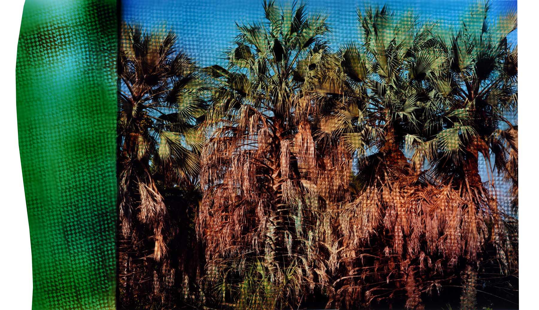 Image above: ©Chloe Sells, Beginnings, 2016, unique chromogenic print / Courtesy of Julie Saul Gallery