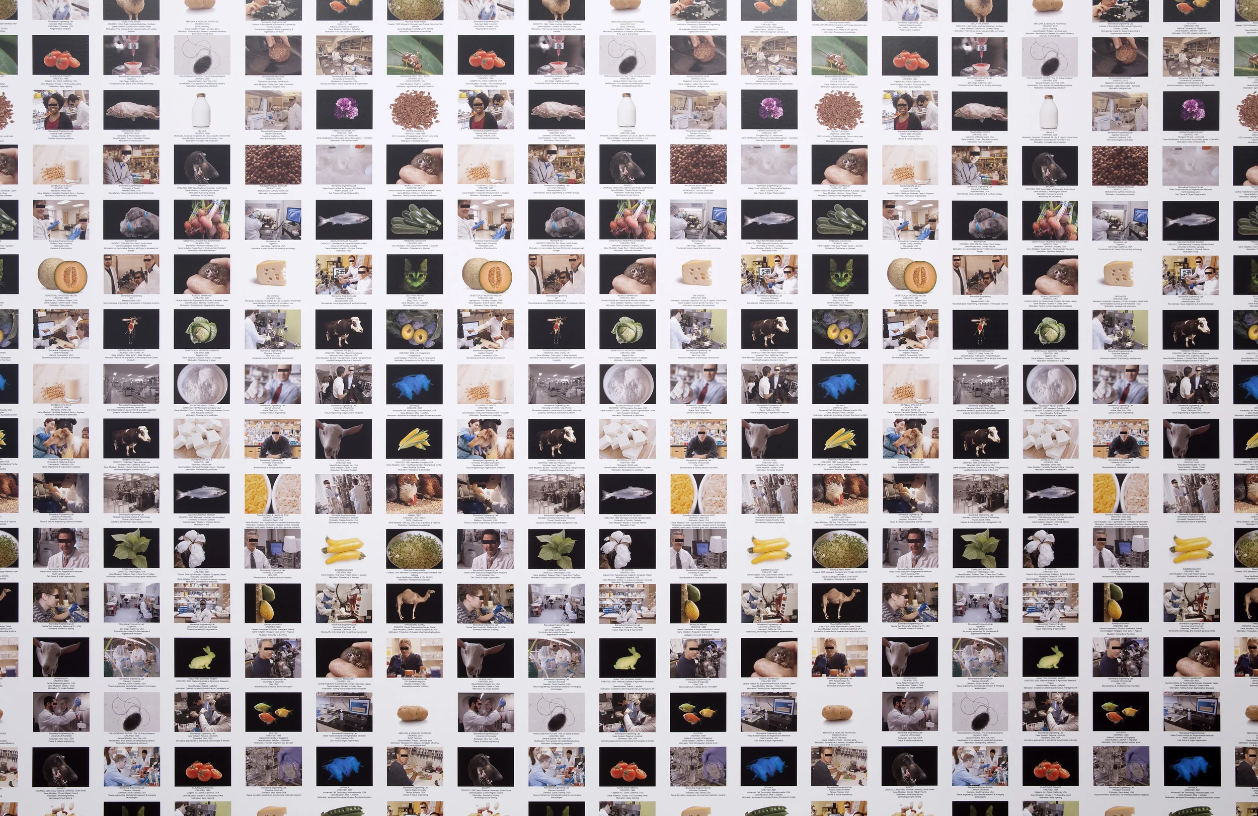 Image Above: ©Lynn Hershamn Leeson, From "the Injectable Mutation series and Infinity Engine," WALLPAPER, 2012-13 / Courtesy of Bridget Donahue Gallery