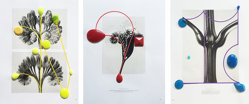 Image above: ©Nino Cais, Untitled, From the series "Flowers and Stones," 2016, Jjewelry and acrylic pen on printed paper / Courtesy of Fridman Gallery