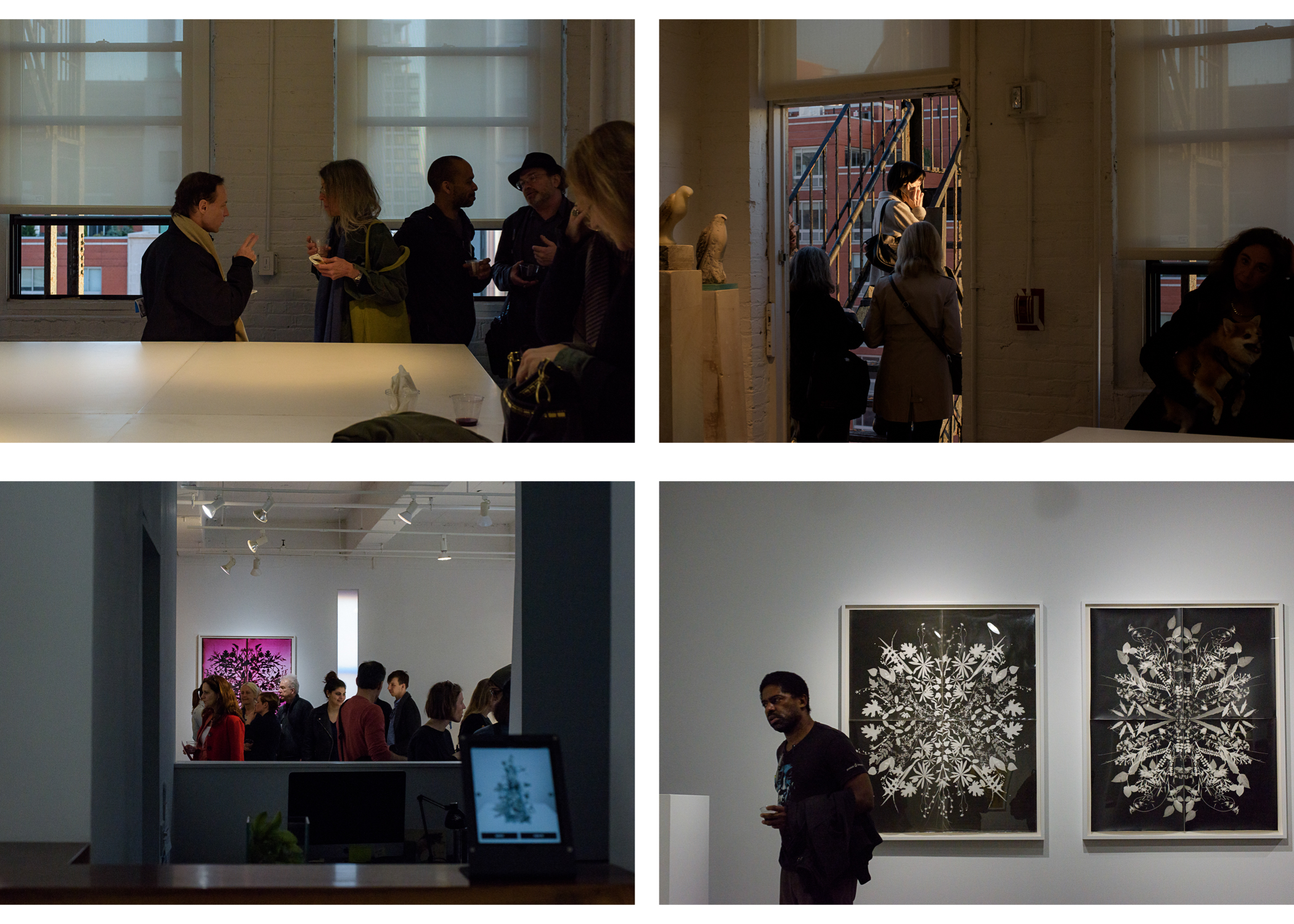 Images above: ©Fernando Sandoval, Opening night