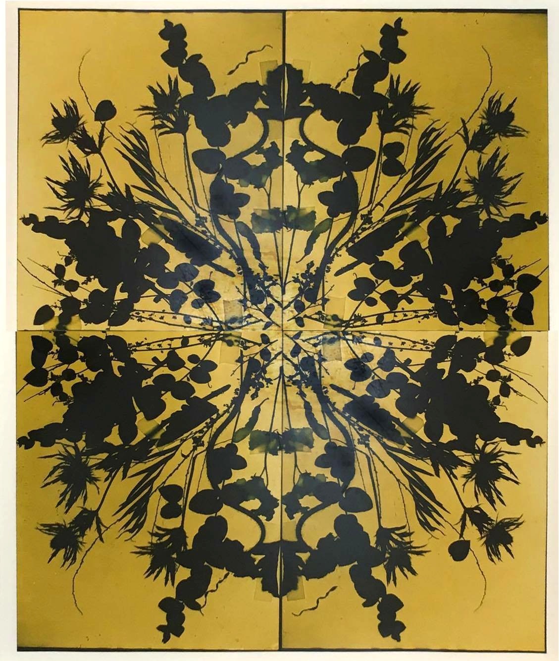 Image above: ©Wendy Small, Remedy (Louise's Sister-in-Law), ed. of 3, 2016, color photogram / Courtesy of Sears Peyton Gallery