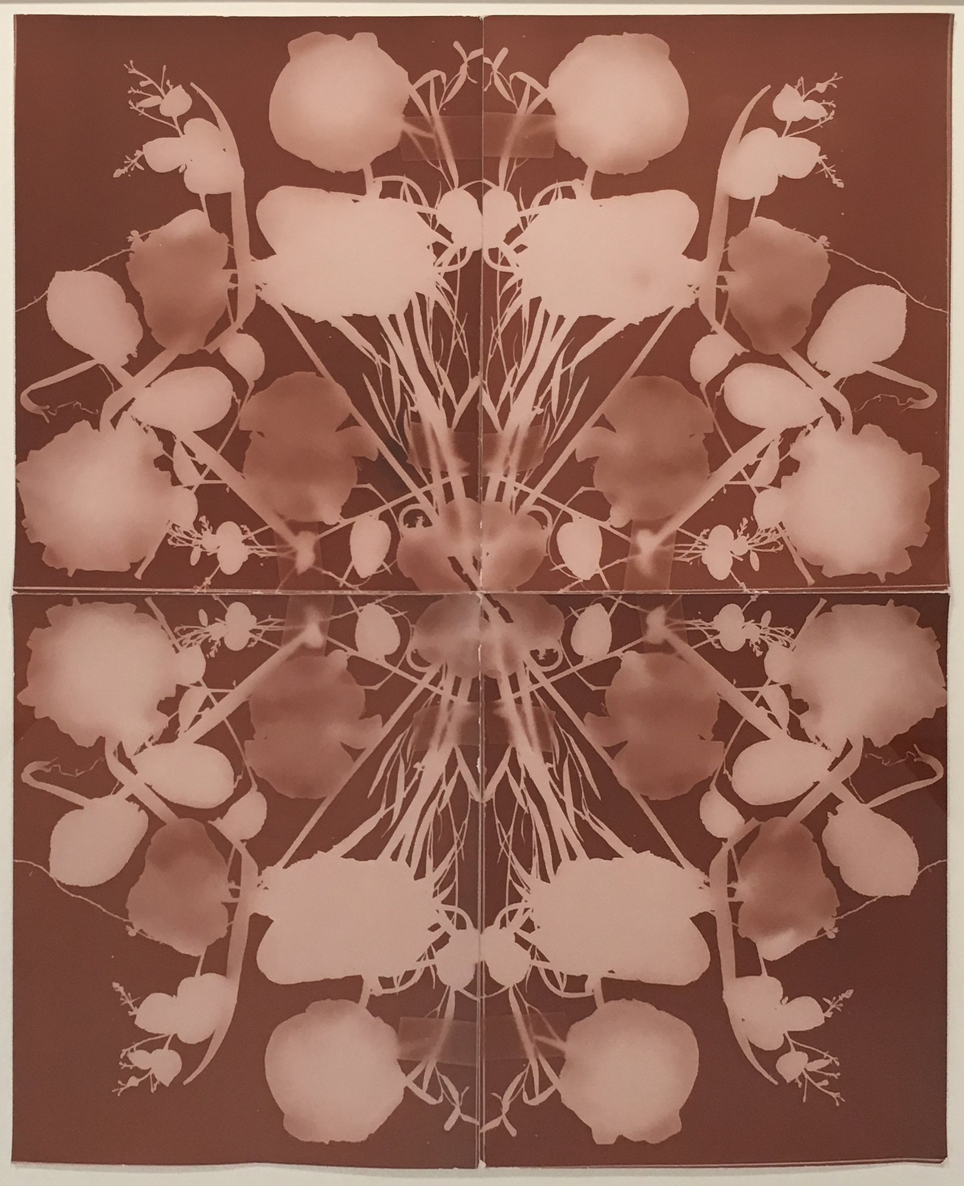 Image above: ©Wendy Small, Remedy, 2015-2016, black and white photogram / Courtesy of Sears Peyton Gallery