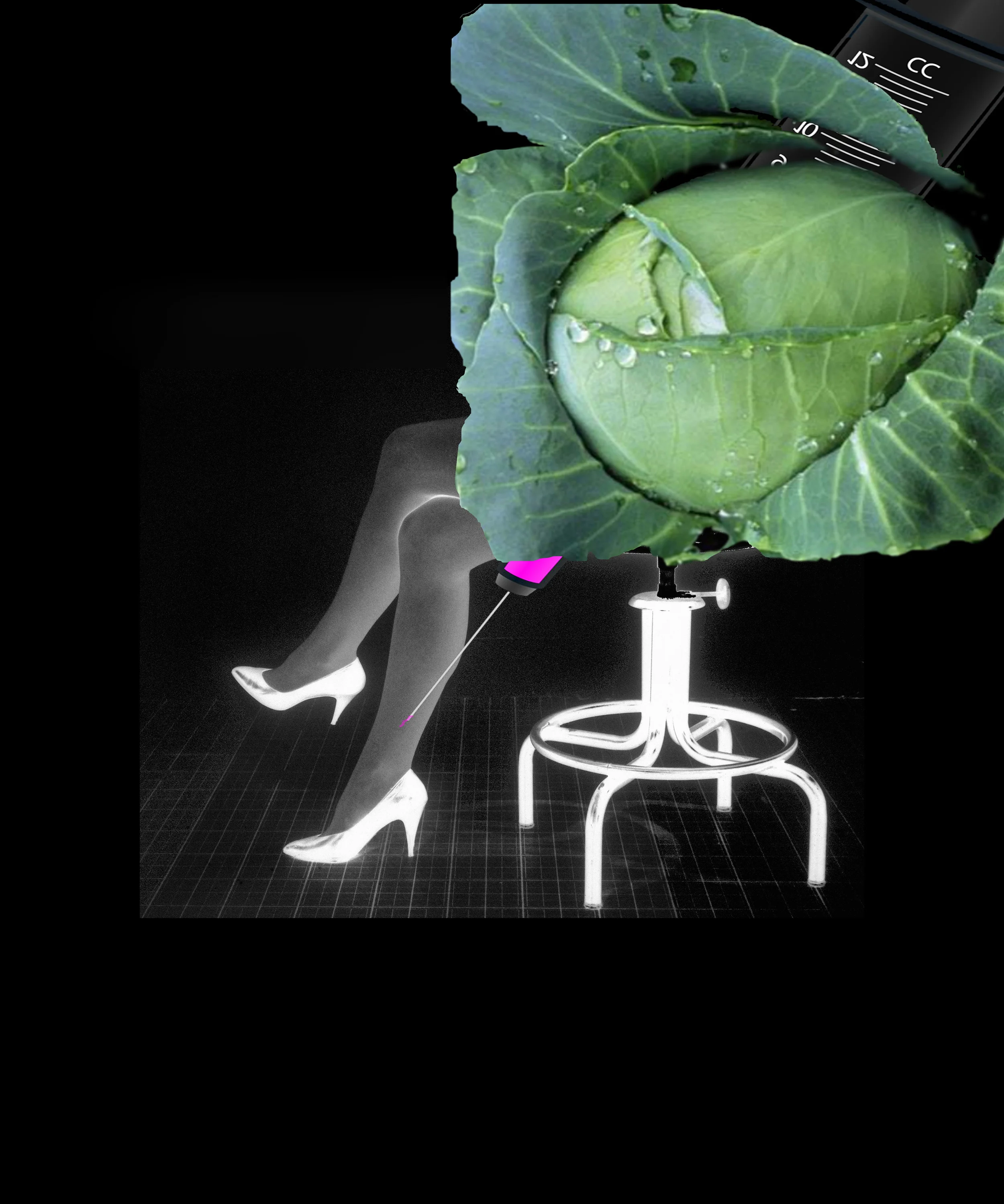 Image Above: ©Lynn Hershamn Leeson, From "the Injectable Mutation series and Infinity Engine," CABBAGE , 2014 / Courtesy of Bridget Donahue Gallery