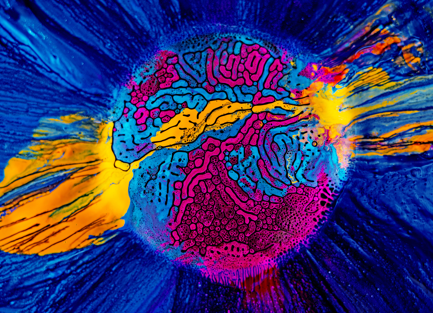 Image Above: ©Fabien Oefner, Millefiori No. 12, (2013) / Courtesy of the Artist