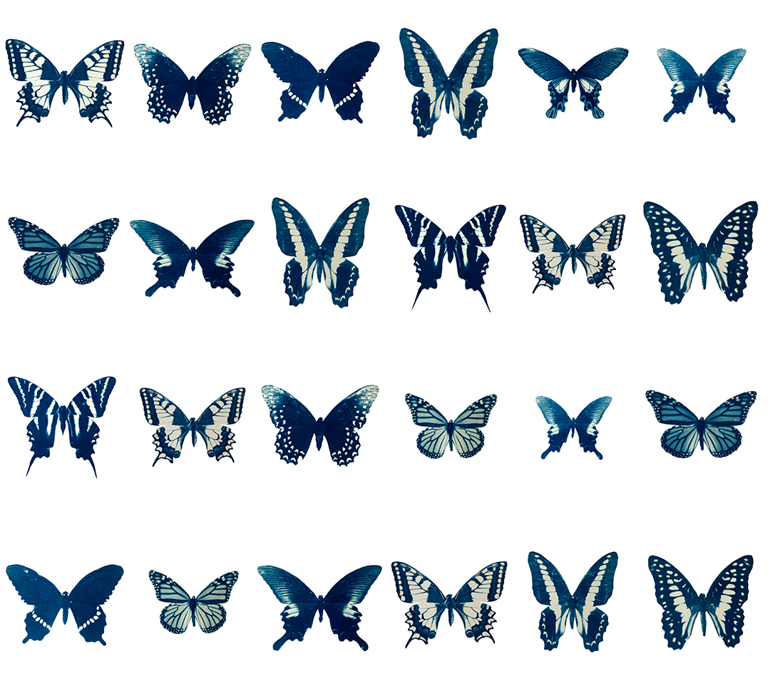 ©Leah Sobsey, The Swarm Grid