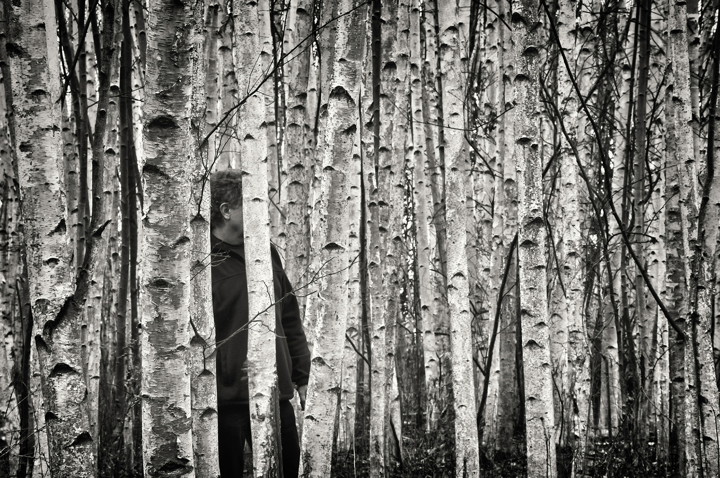 “ The Birches” , Skaneateles, NY, 2012 © Ted Anderson
