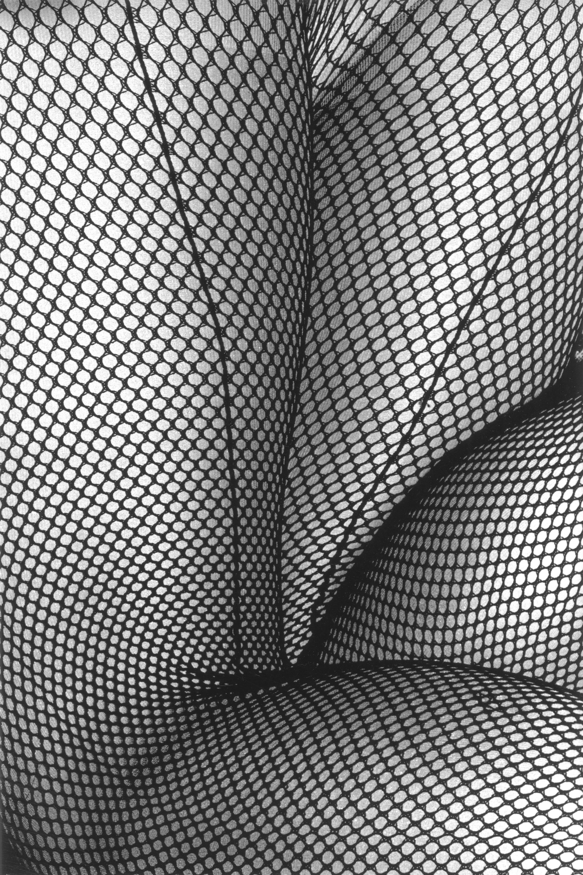 How To Create a Beautiful Picture 6: Tights in Shimotakaido , 1987. © Daido Moriyama. Courtesy Steven Kasher Gallery, New York