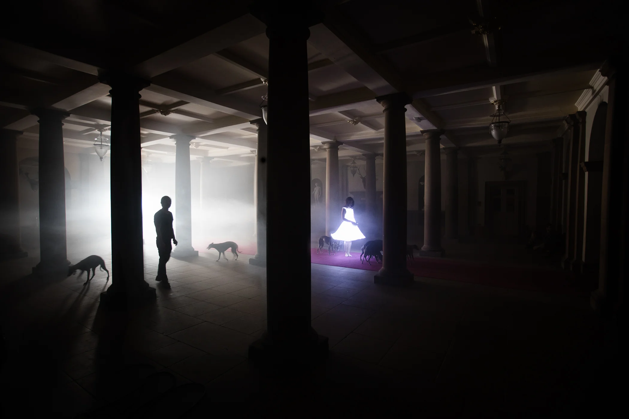© Adrien Broom, The Forest of Columns.