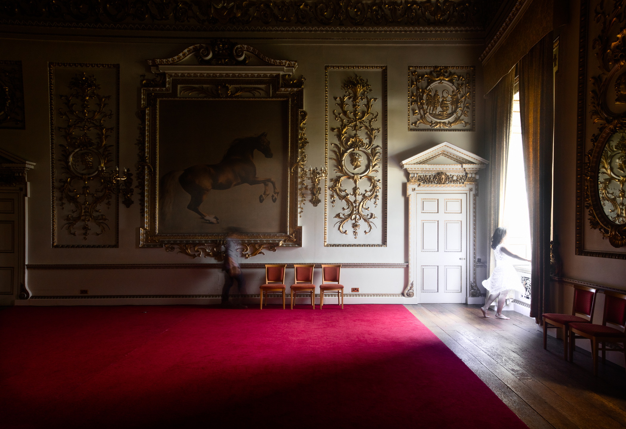© Adrien Broom, Whistlejacket Room.