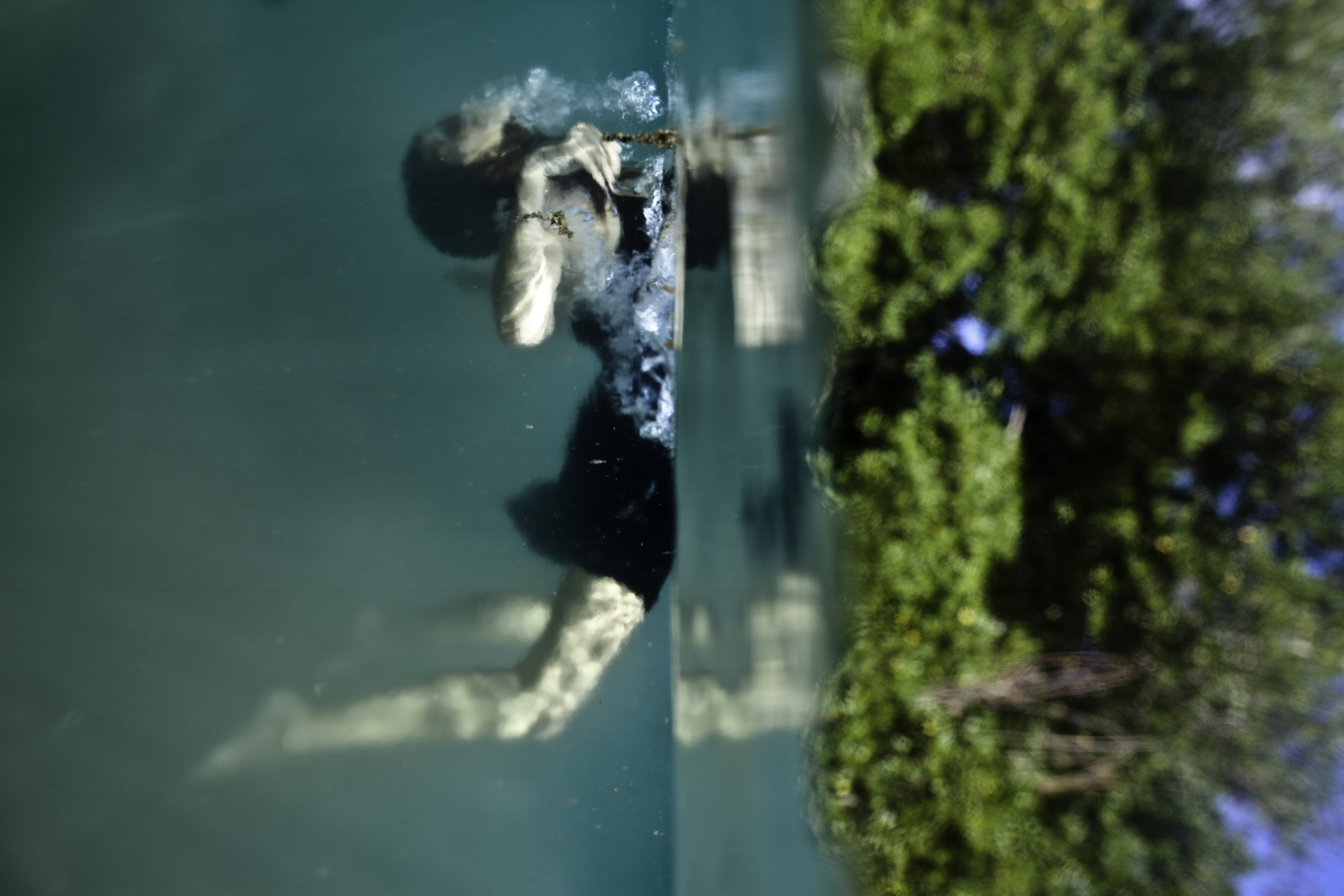 Parallel - d , 2011-2012. © Robin Cerutti. Robin Cerutti is represented by online gallery www.theprintatelier.com, "The New reference for emerging photography on the web."