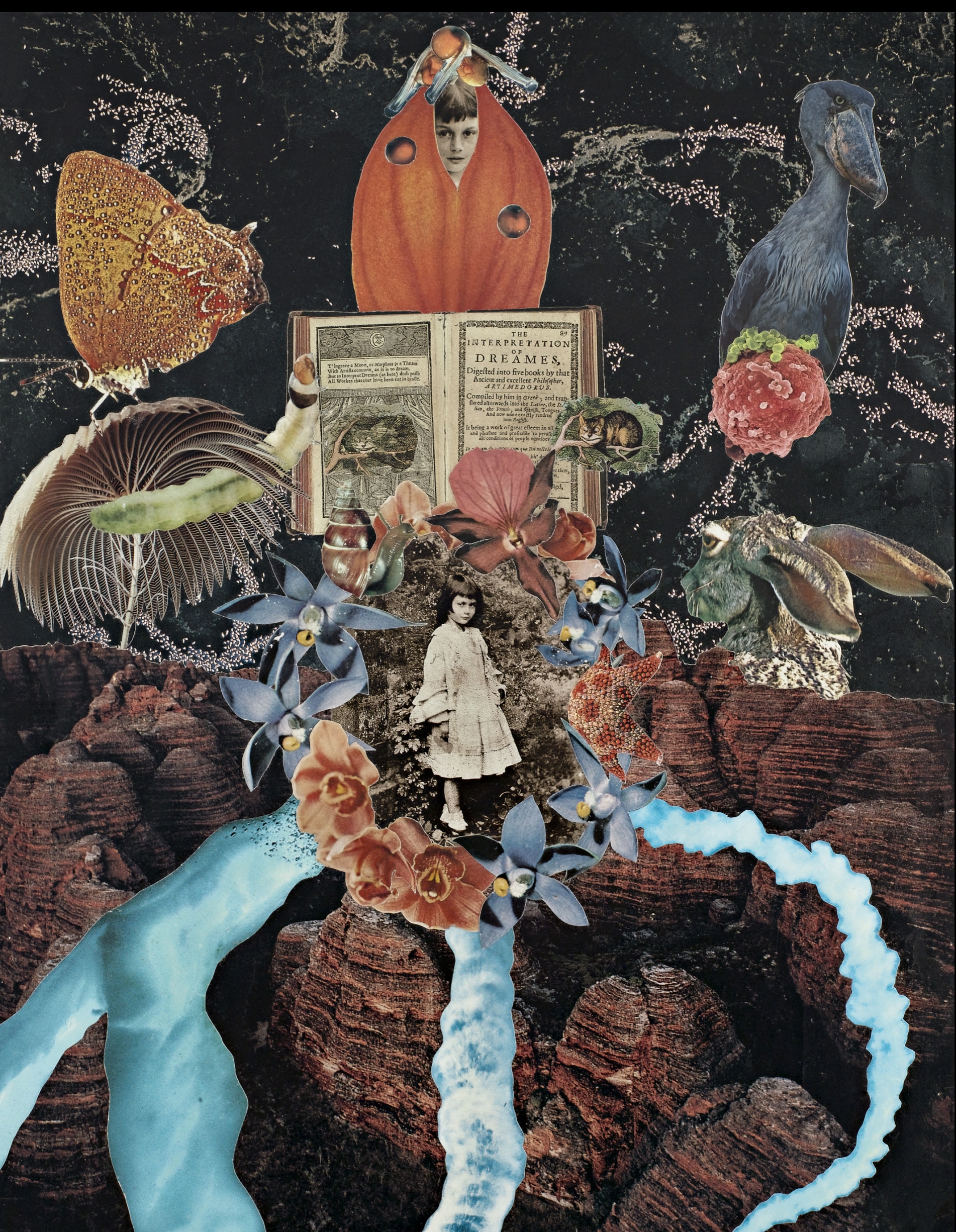 Agnieszka Sosnowska, Journey, Collage, 1994