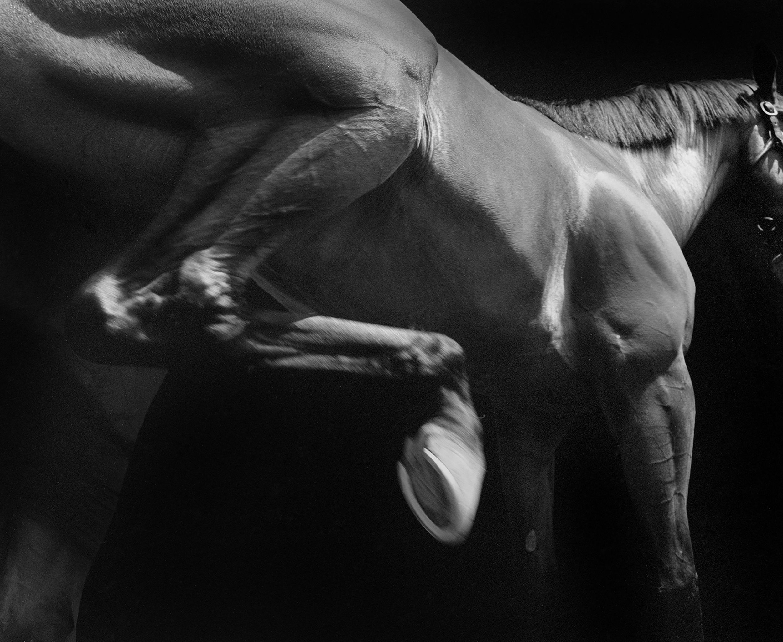 Neil Latham, American Thoroughbred #34 (Falling Sky) , 2015, Gelatin Silver Print courtesy of Steven Kasher Gallery