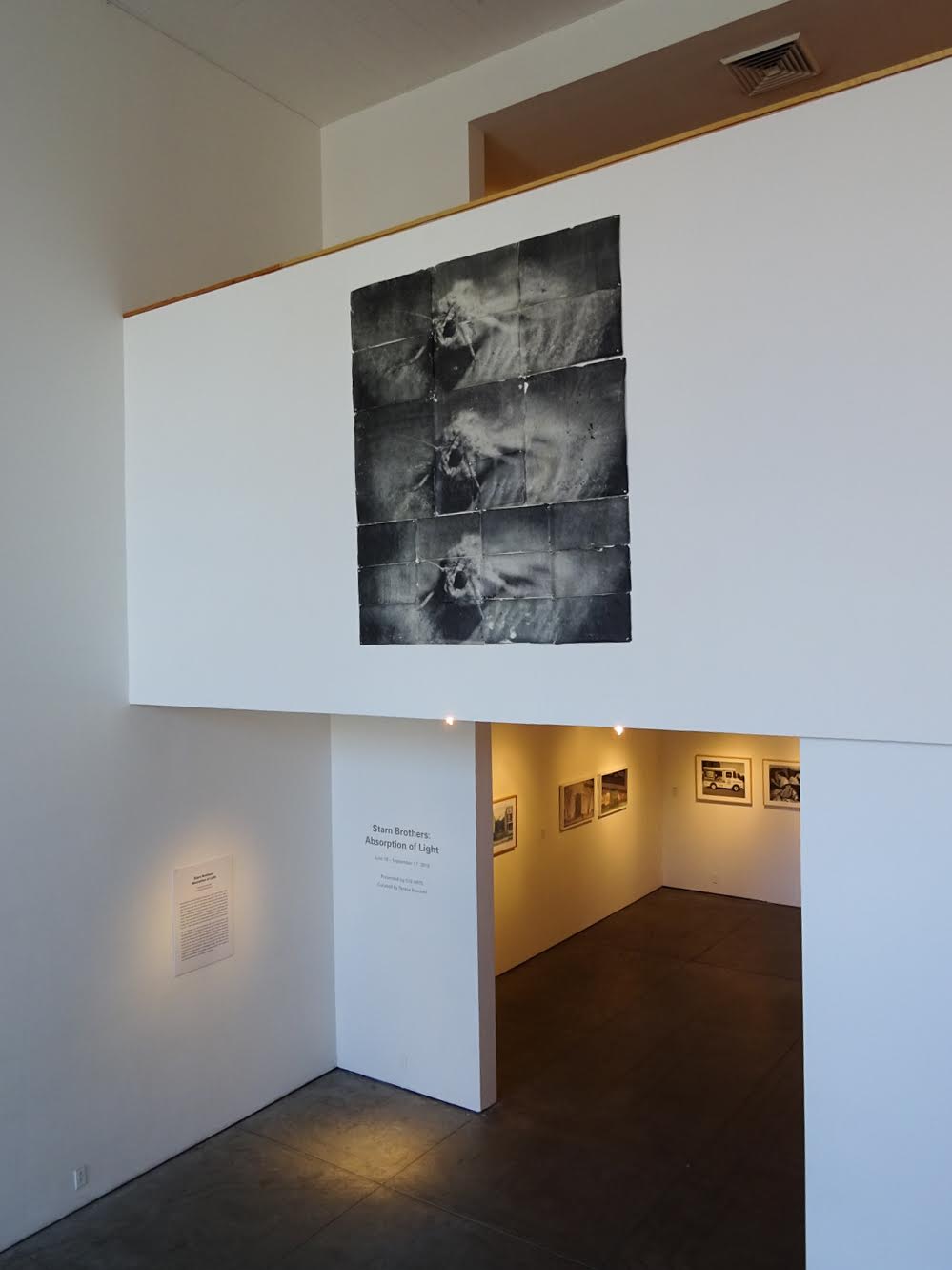Attracted to Light 2 (triple) , 2002, Sulfur toned silver prints hand-coated on Thai mulberry paper, 68 X 63 inches