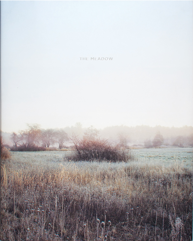 The Meadow by Barbara Bosworth and Margot Anne Kelley. Copyright © 2015 Radius Books. www.radiusbooks.org