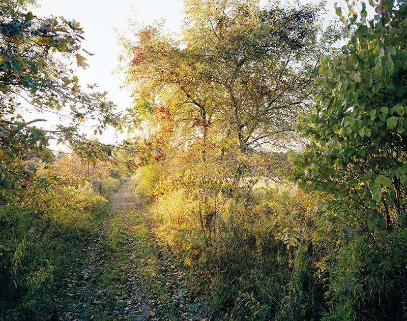 From The Meadow . Photograph © 2015 Barbara Bosworth. www.radiusbooks.org