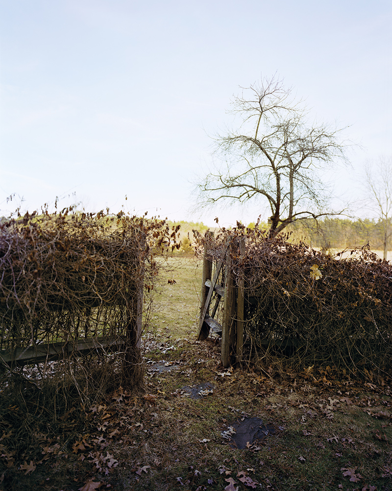 From The Meadow . Photograph © 2015 Barbara Bosworth. www.radiusbooks.org