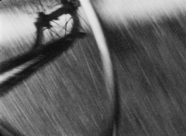 Still from “July '71 in San Francisco, Living at Beach Street, Working at Canyon Cinema, Swimming in the Valley of the Moon” (Peter Hutton, 1971, 35 min) Image courtesy of Canyon Cinema