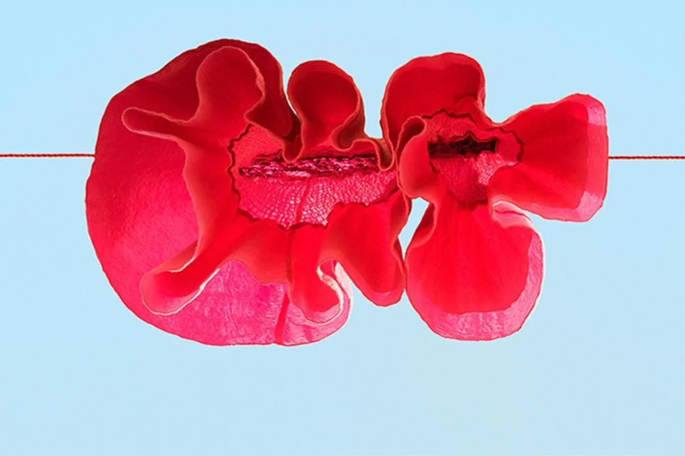 © Julie Saul Gallery website
