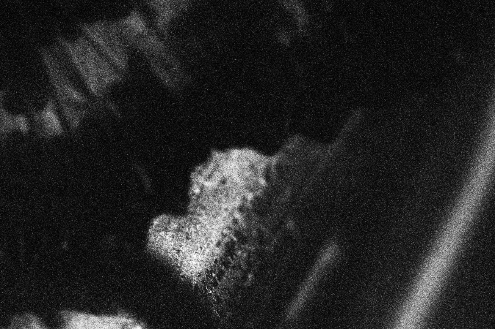 © An Debie, from the series Instar .