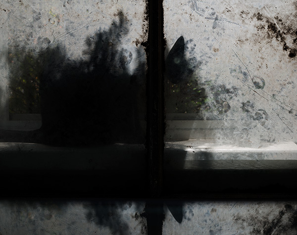 Molly Lamb, Let It Go exhibition