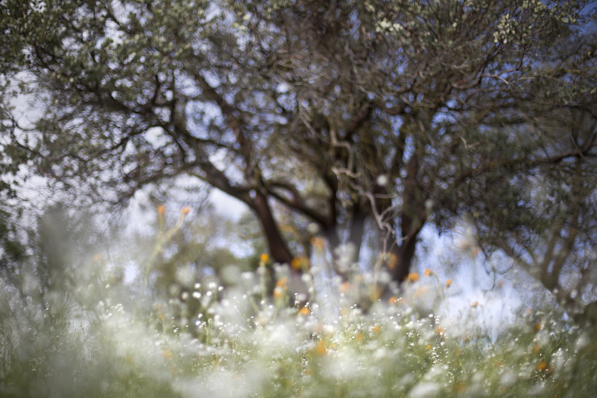 ©Image courtesy of Barbara Kyne