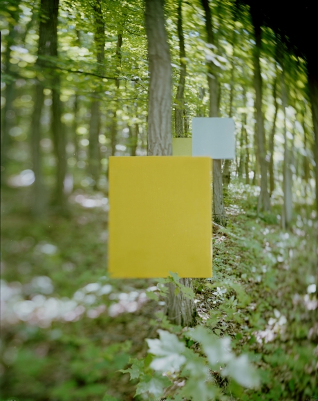 Victor Schrager, Woodwork #3, 2014