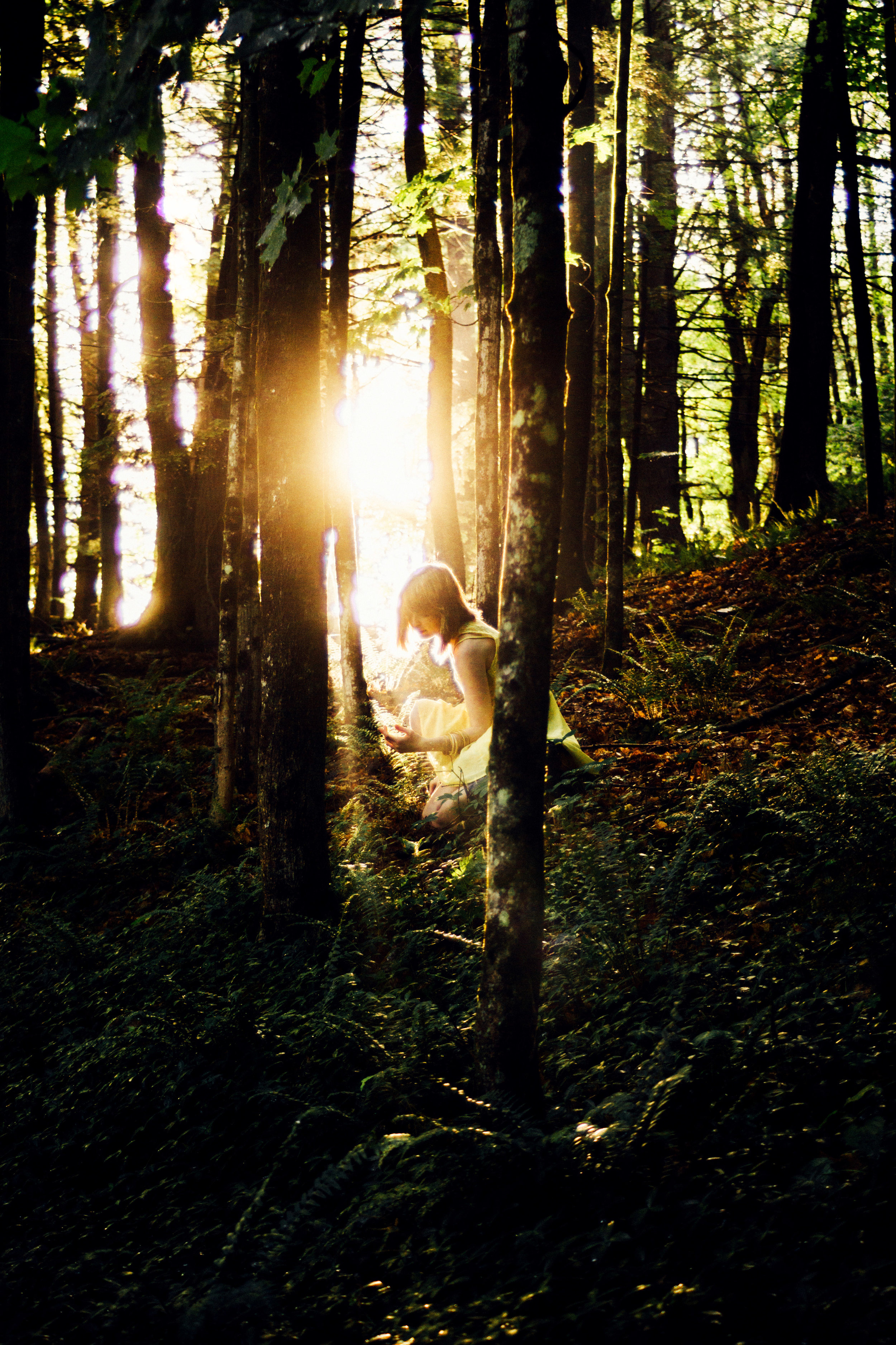In the Forest, Lulu Lovering