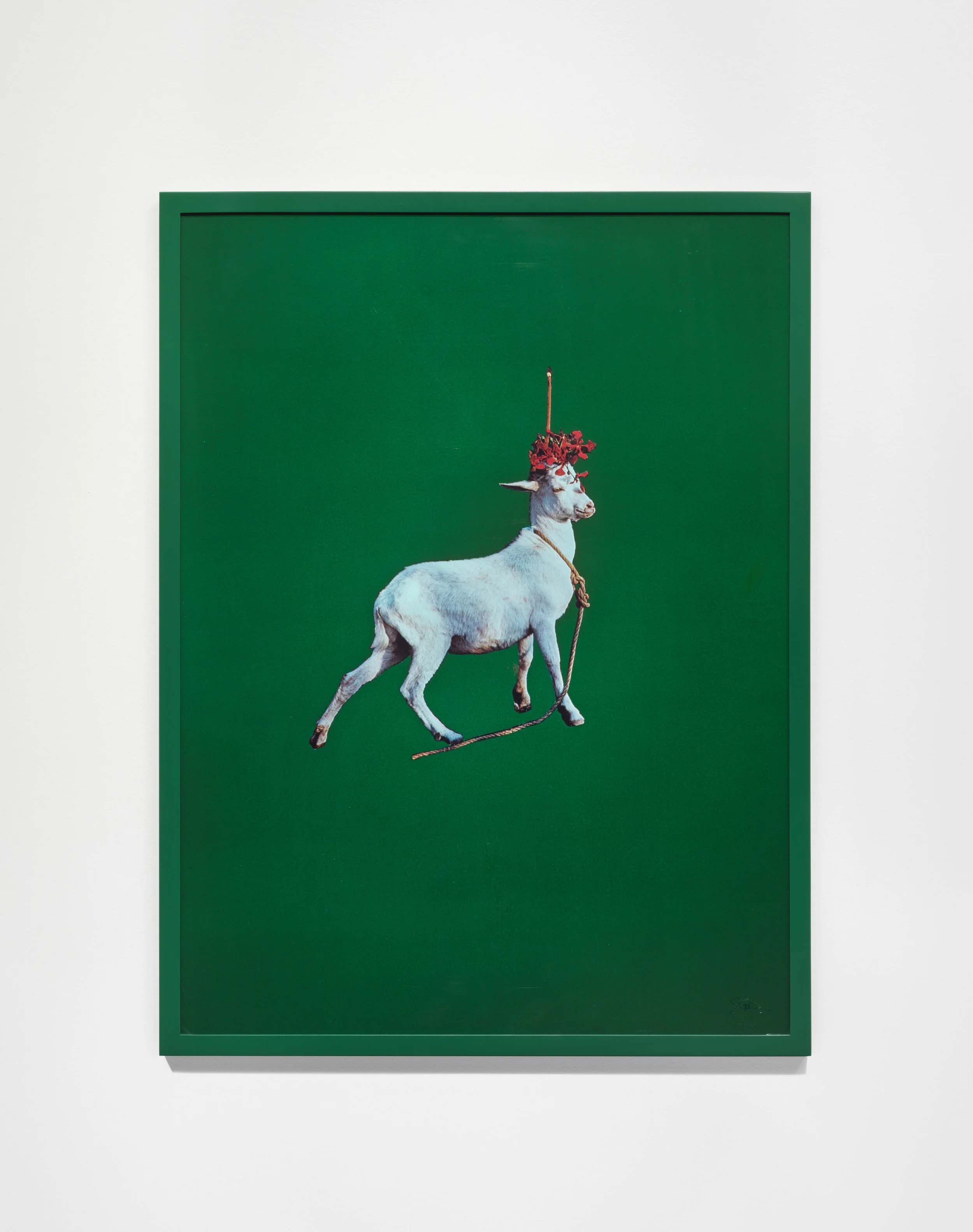Goat , 1985 © Sarah Charlesworth