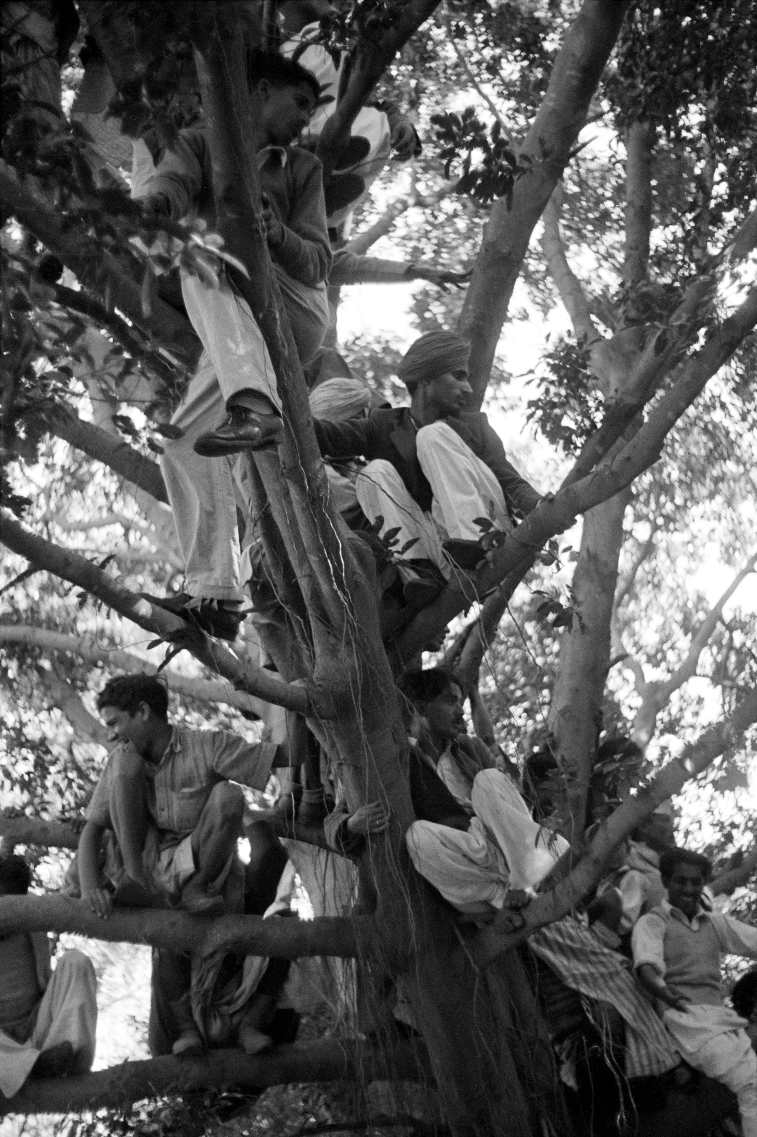 Crowds waiting for Gandhi's funeral cortege to pass by on its way to the Sumna River. Delhi, India, 1948. 35 x 52.5 cm. Courtesy of Rubin Museum of Art