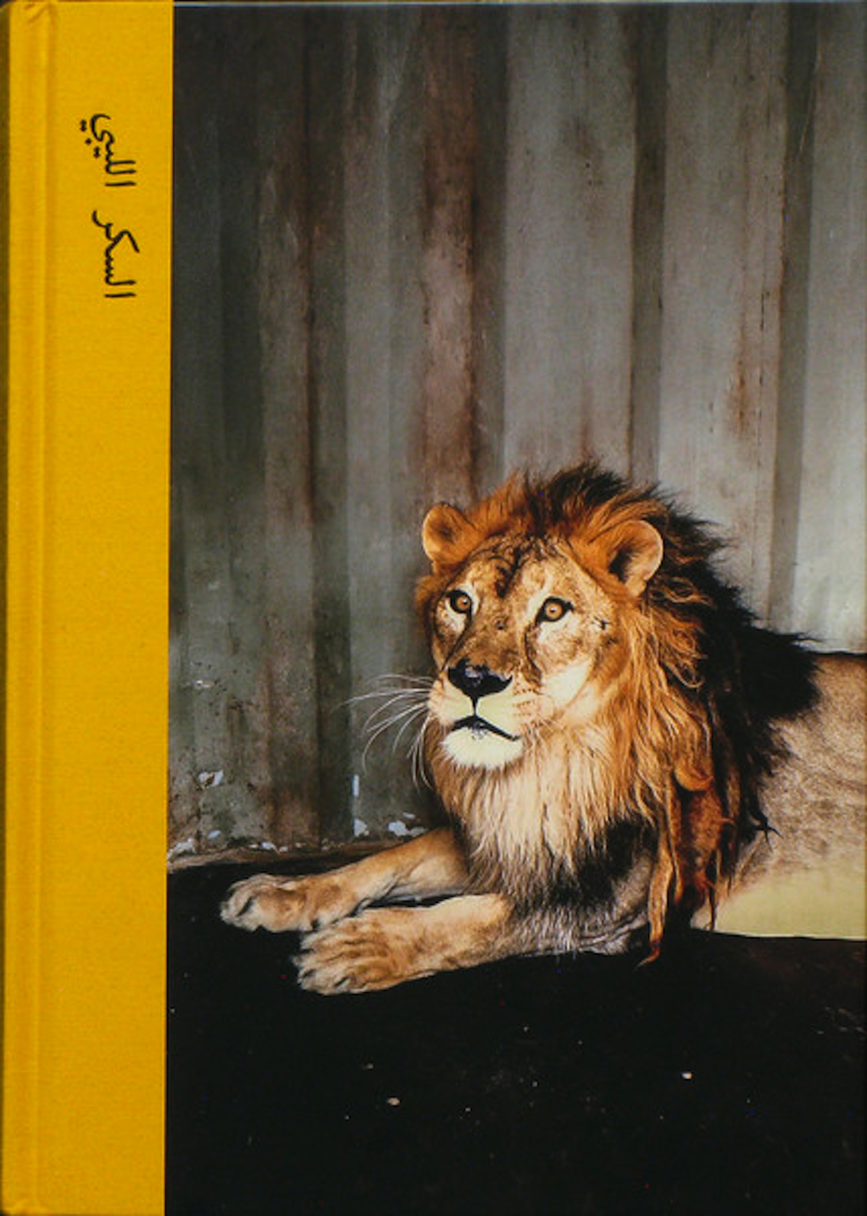 Cover of Libyan Sugar, by Michael Christopher Brown (Twin Palms, 2016)