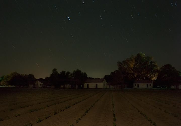 © Jeanine Michna-Bales
