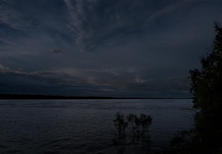 © Jeanine Michna-Bales