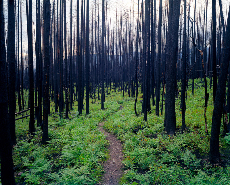 1/3 – Kevin Horan, Untitled (Burn), archival pigment print