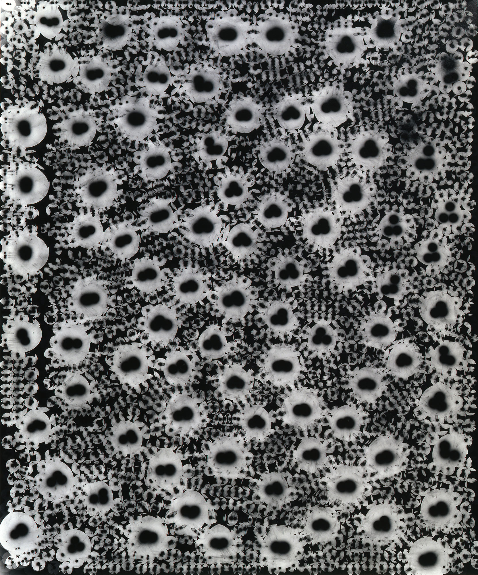 Circles, 1991 © Ellen Carey
