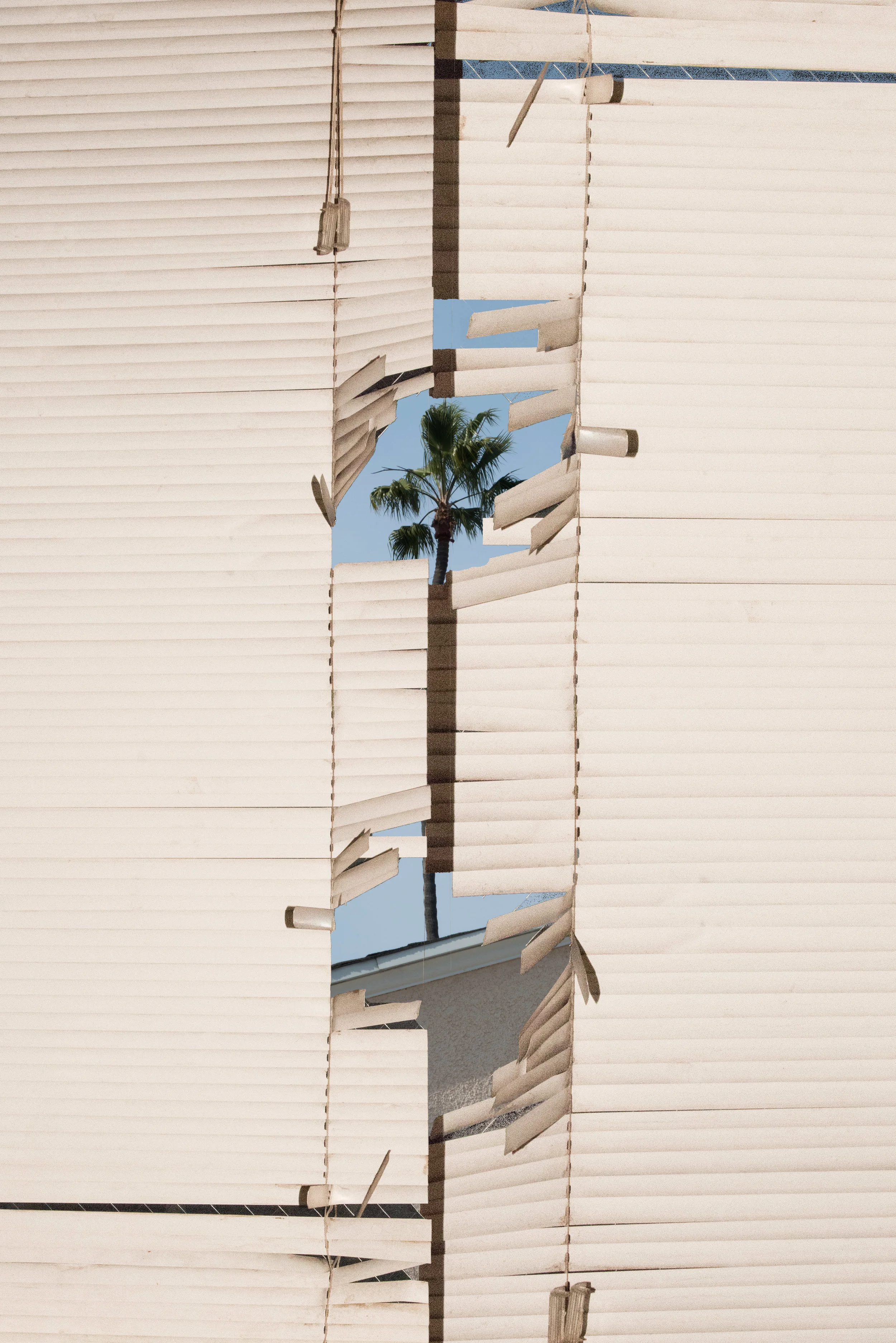 ©KangHee Kim