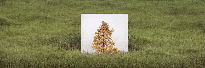 Image courtesy of Myoung Ho Lee, Yossi Milo Gallery