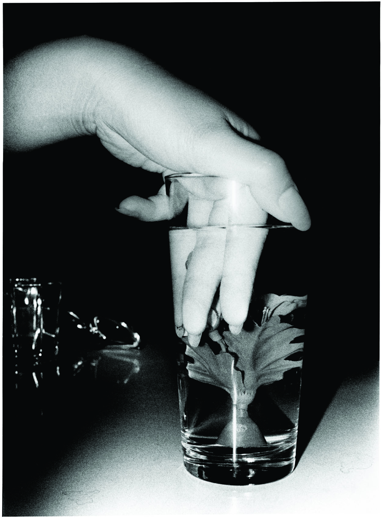 All Images © Daido Moriyama Photo Foundation / Courtesy of Luhring Augustine, New York, Taka Ishii Gallery, Tokyo, and Daido Moriyama Photo Foundation, Tokyo. 