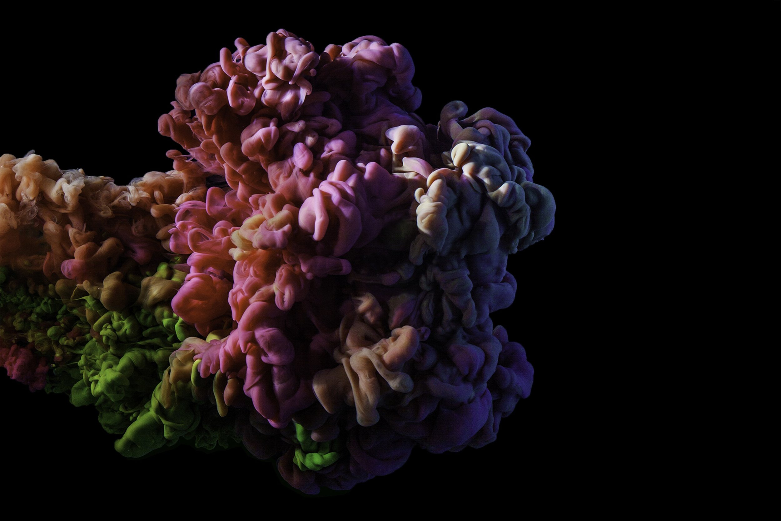 © Joseba Barriola.The Flower