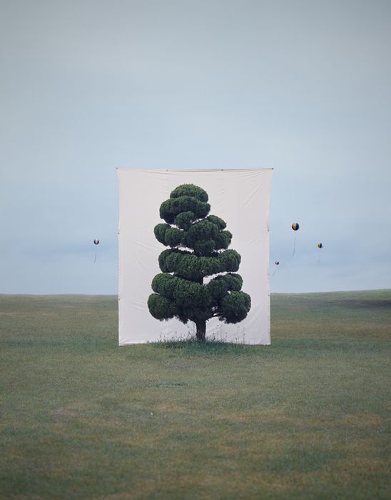 Tree #2, 2006 From the series Tree Archival Inkjet Print