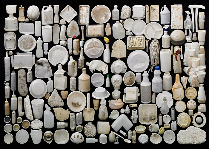 Found in Nature © Barry Rosenthal 