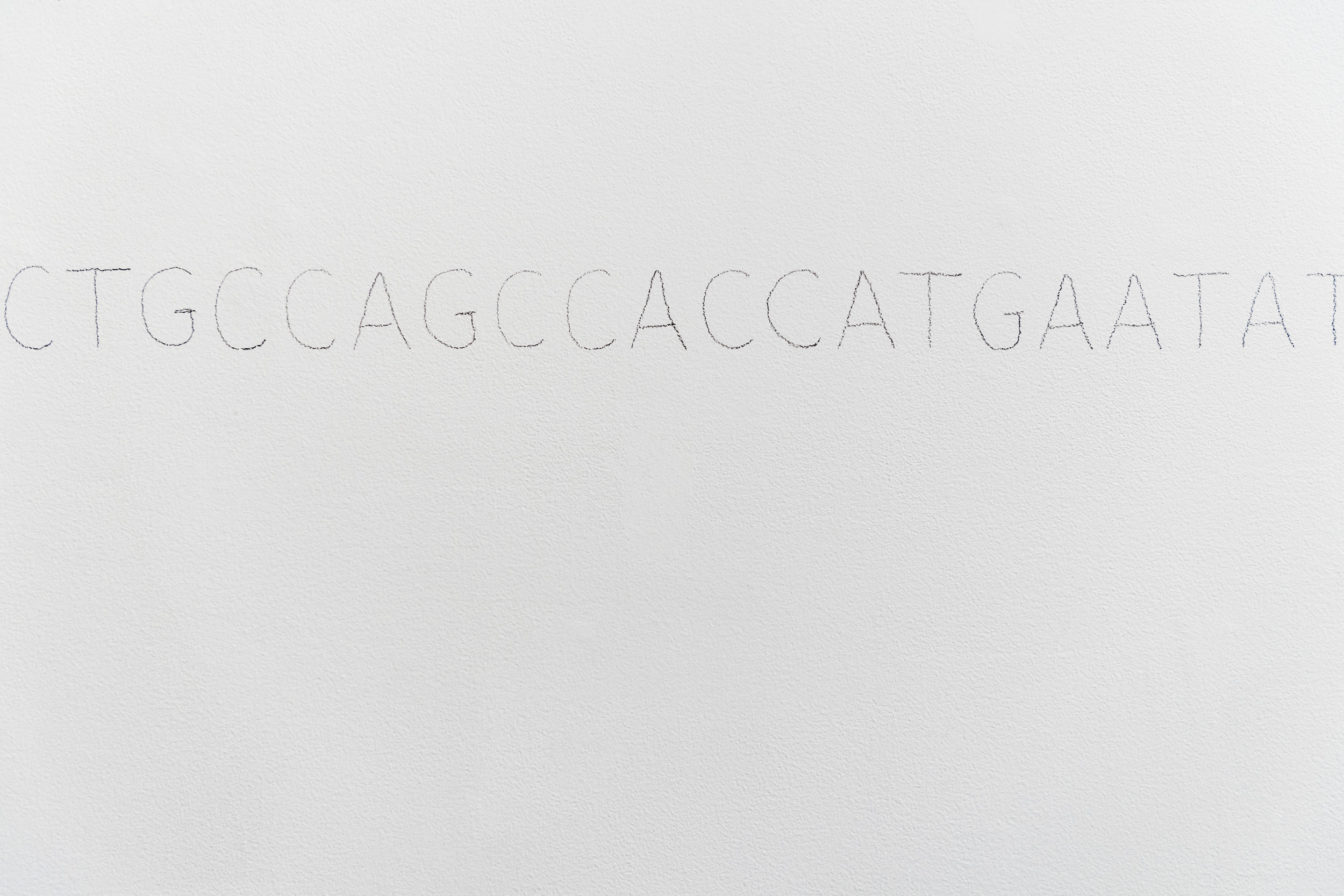 Images by Paula Abreu Pita, courtesy of Fridman Gallery